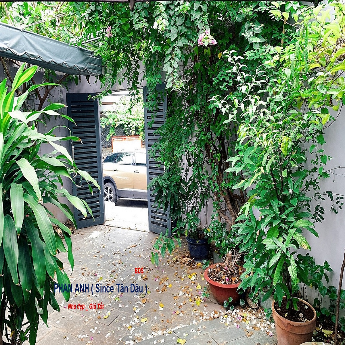 🏠 Siêu Phẩm Nhà Mặt Phố Thủ Đức – Đường ô tô 12 m – Chỉ có 12 Tỷ! 🏠 - Ảnh 3